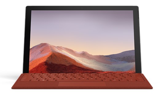 兴化清洁和维护 Surface